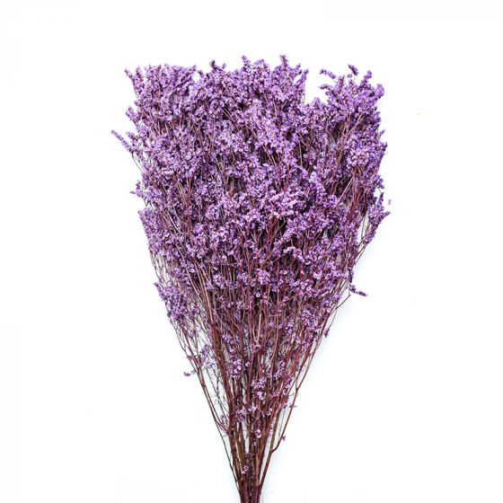 Limonium ARTIFICIELLE